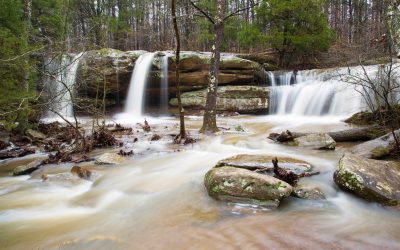 Exploring the Hidden Gems of the Shawnee National Forest: A Guide to Herod, IL