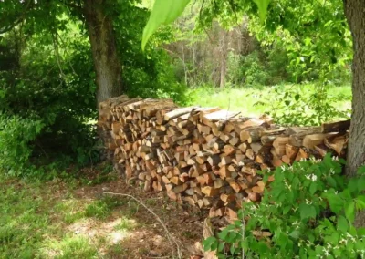 Fire wood