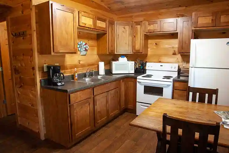 Clean kitchen in the cabin