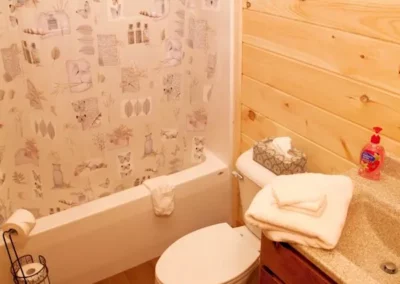Two bedroom rental cabin bathroom area