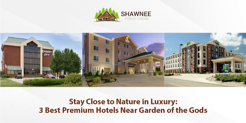 Stay Close to Nature in Luxury: 3 Best Premium Hotels Near Garden of the Gods