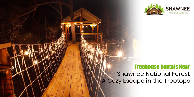 Treehouse Rentals Near Shawnee National Forest: A Cozy Escape in the Treetops